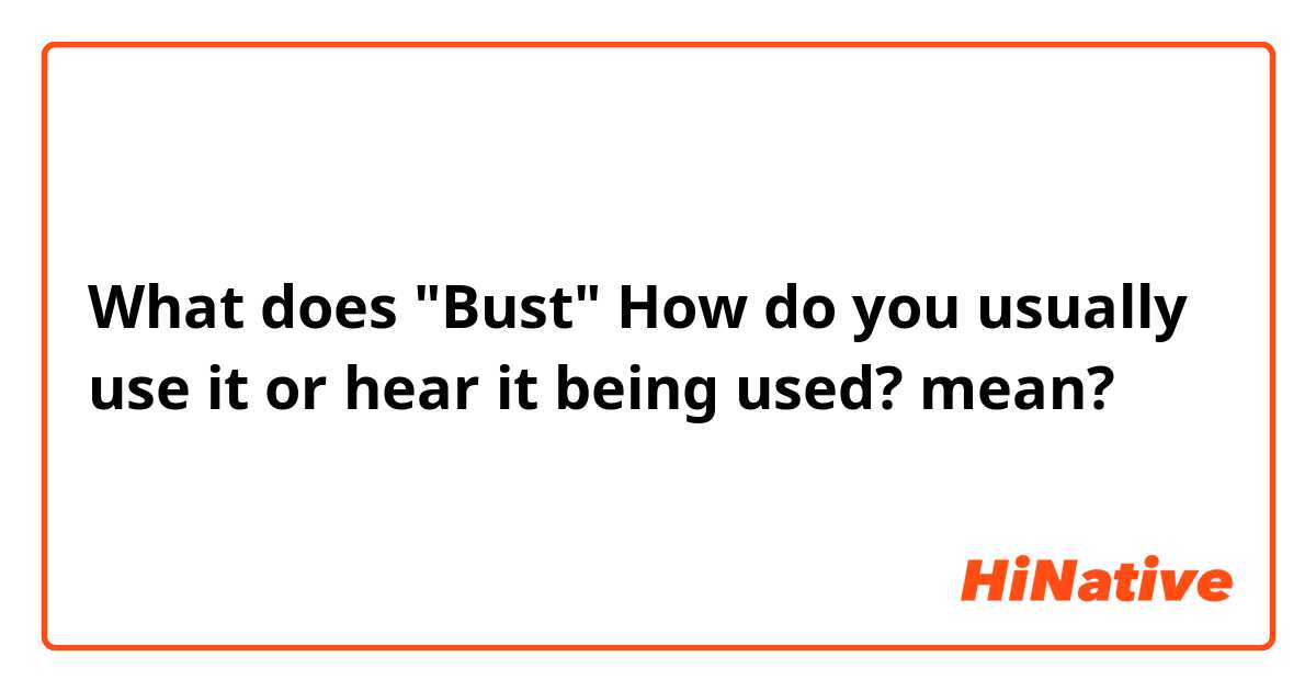 phrases - What's the meaning of bust head open - English Language  Learners Stack Exchange