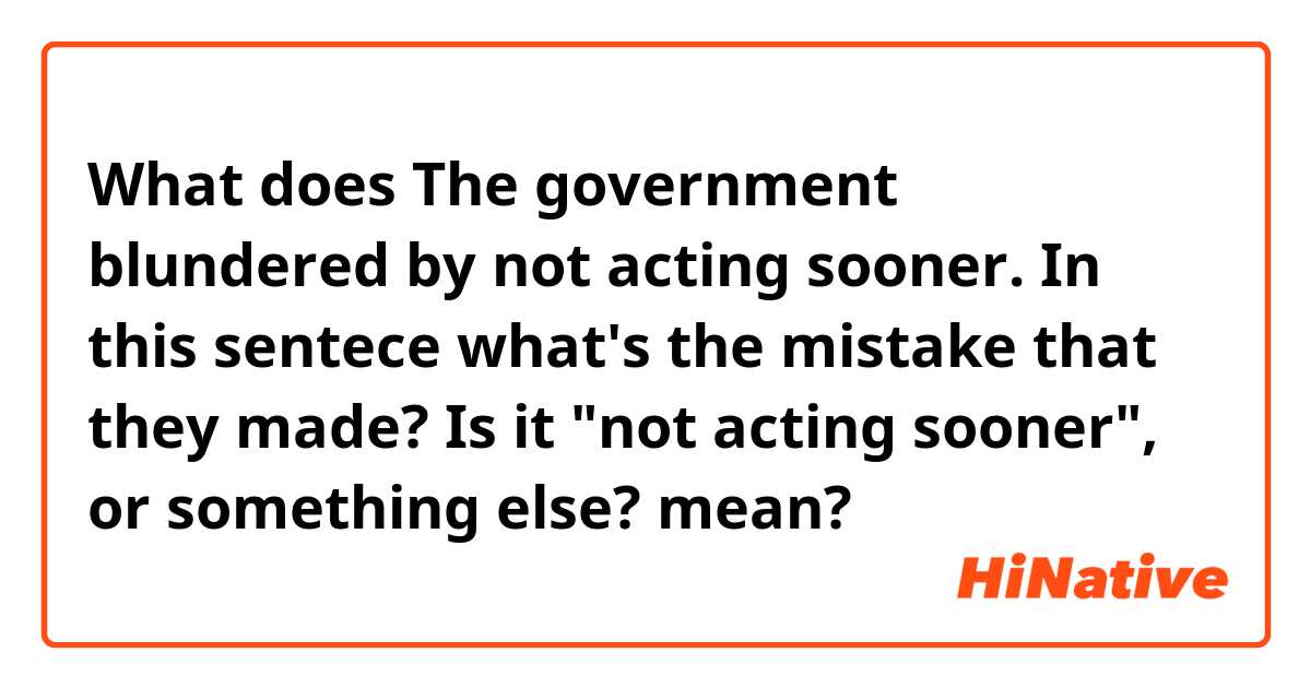 What is the meaning of The government blundered by not acting sooner. In  this sentece what's the mistake that they made? Is it not acting sooner,  or something else?? - Question about