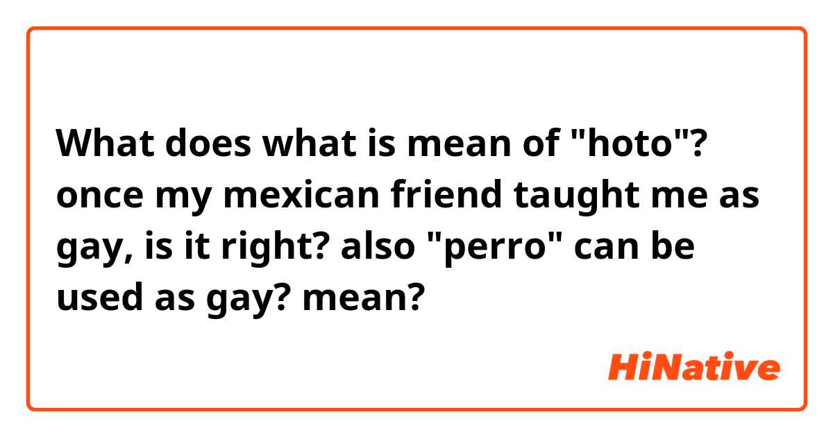 What is the meaning of what is mean of hoto? once my mexican friend  taught me as gay, is it right? also perro can be used as gay? ? -  Question about