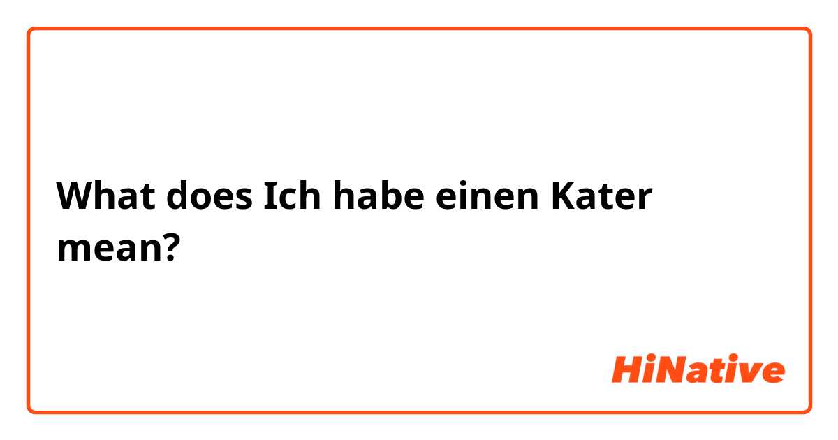 What is the meaning of "Ich habe einen Kater"? - Question German | HiNative