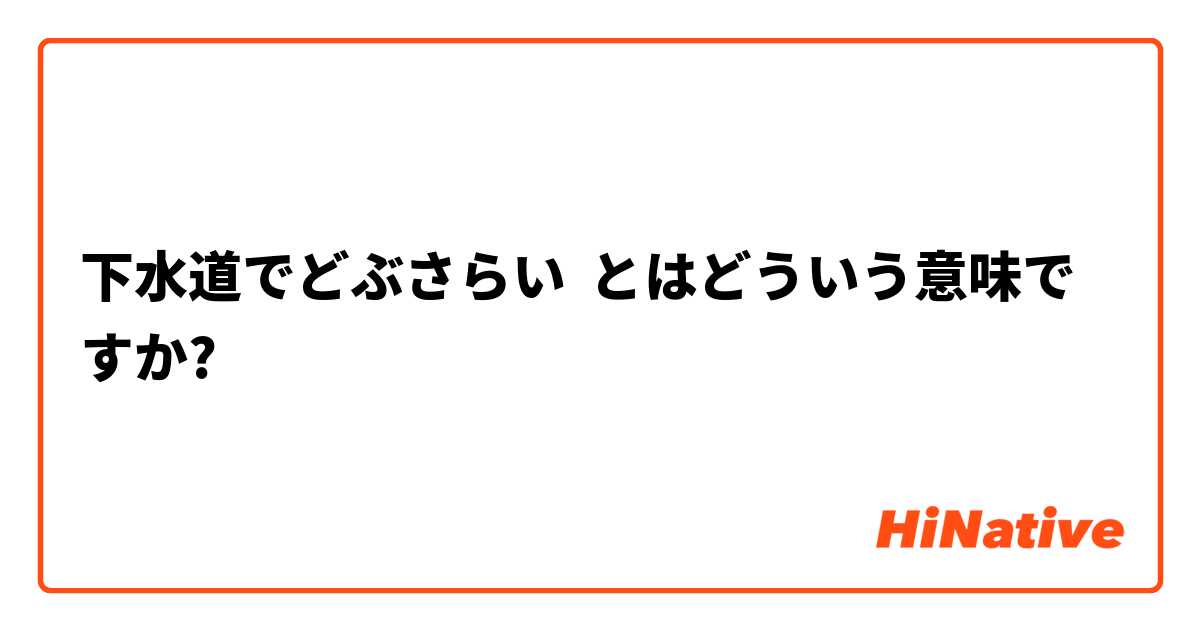 下水道でどぶさらい とはどういう意味ですか 日本語に関する質問 Hinative