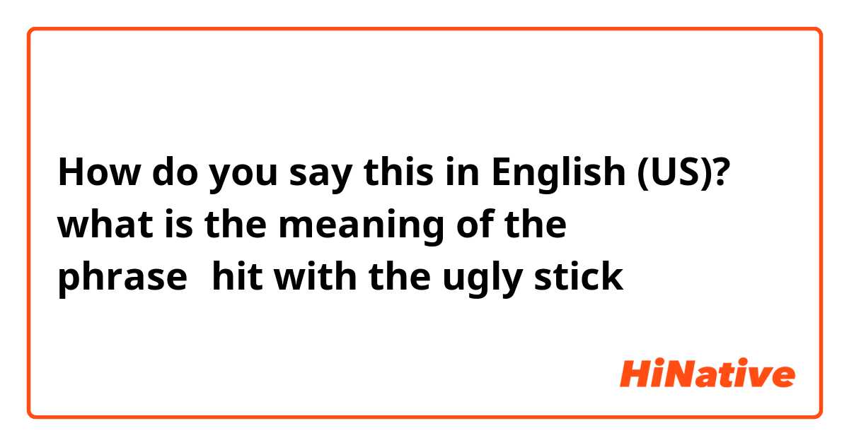 How do you say what is the meaning of the phrase？hit with the ugly stick  in English (US)?
