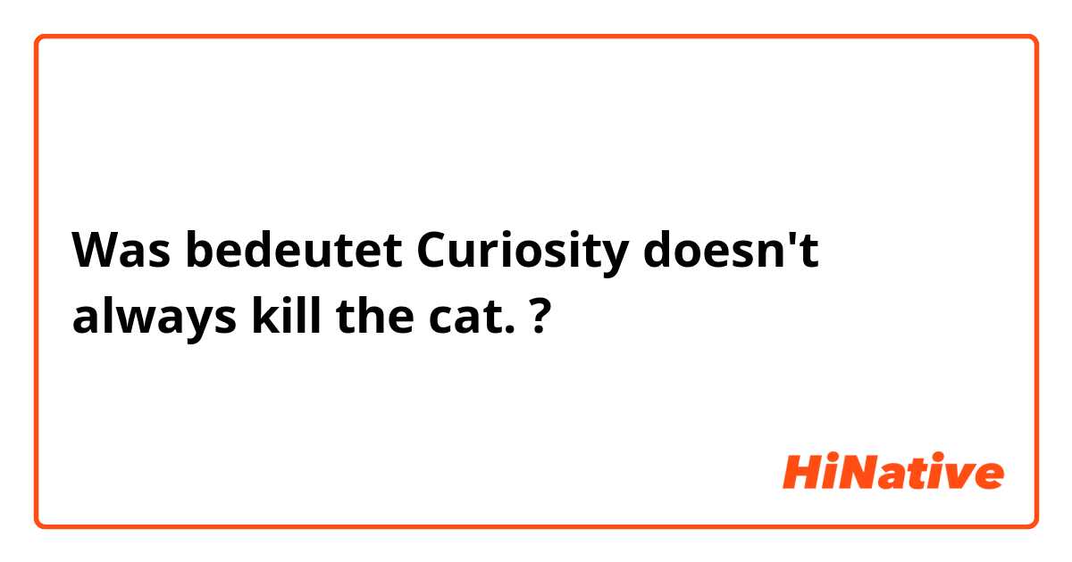 Was bedeutet Curiosity doesn't always kill the cat.?