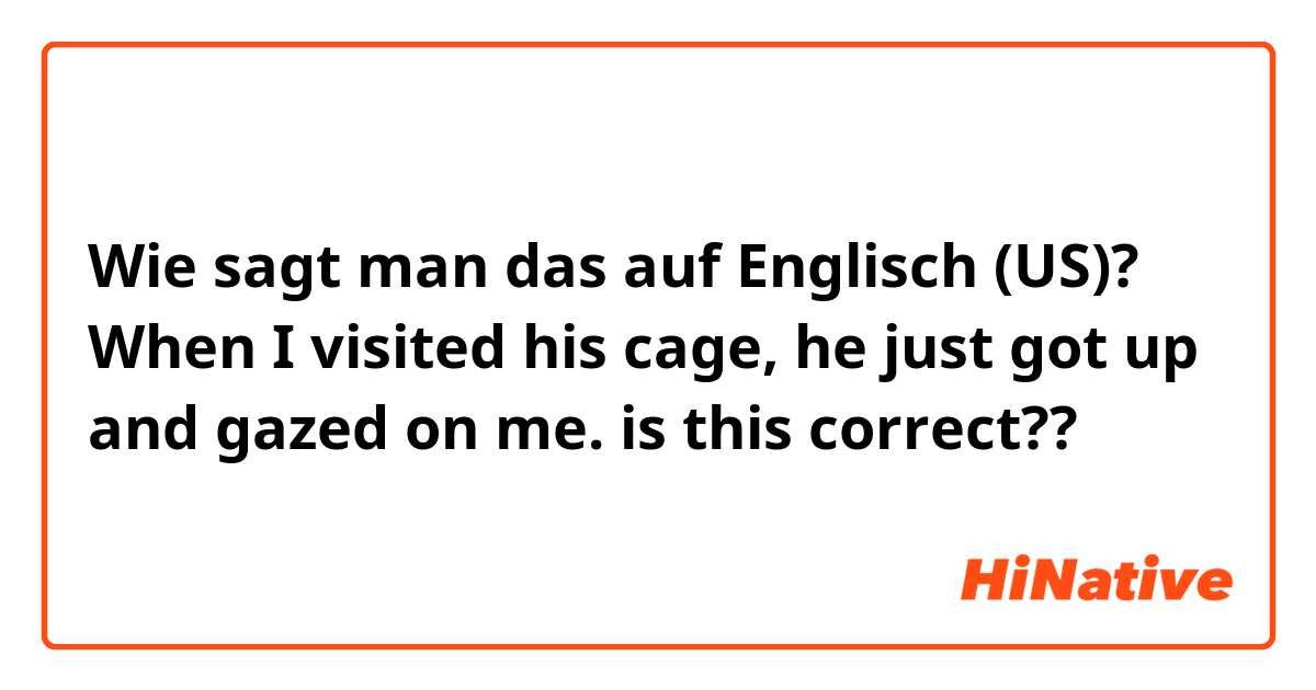 Wie sagt man das auf Englisch (US)? When I visited his cage, he just got up and gazed on me. is this correct??