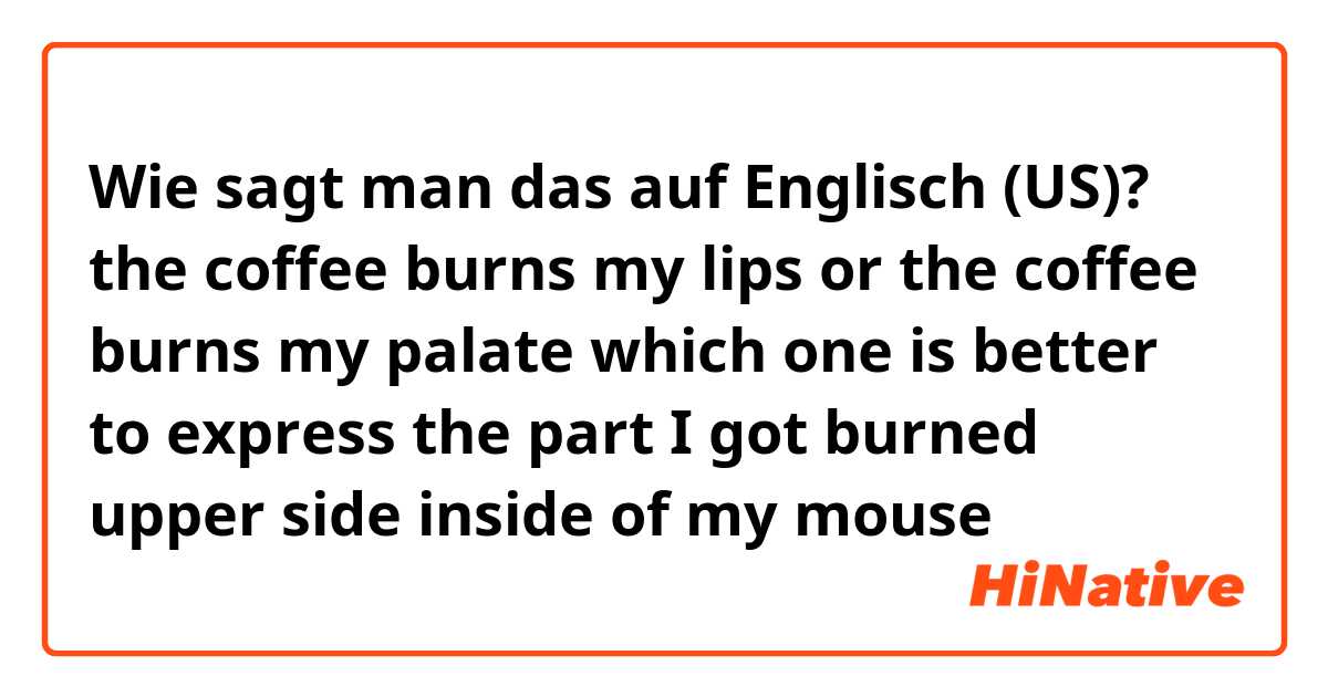 Wie sagt man das auf Englisch (US)? the coffee burns my lips or the coffee burns my palate which one is better to express the part I got burned upper side inside of my mouse