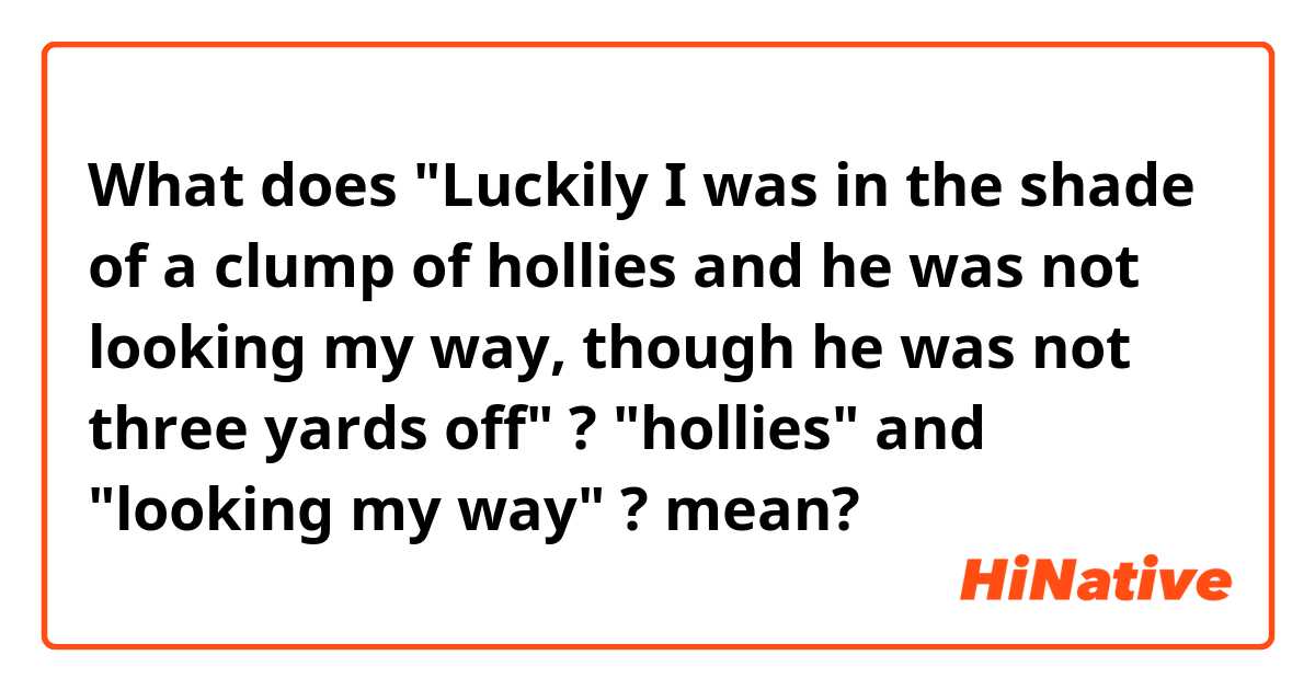 What does "Luckily I was in the shade of a clump of hollies and he was not looking my way, though he was not three yards off" ? "hollies" and "looking my way" ? mean?