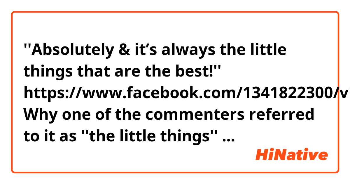 ''Absolutely & it’s always the little things that are the best!''
https://www.facebook.com/1341822300/videos/3280705402250610/

Why one of the commenters referred to it as ''the little things'' ❔❓? 
What does *the little things mean there ?