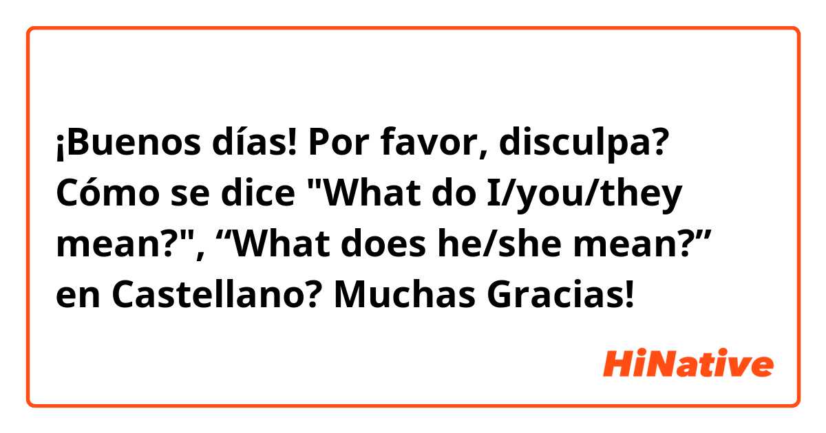 ¡Buenos días!

Por favor, disculpa?

Cómo se dice "What do I/you/they mean?", “What does he/she mean?” en Castellano?

Muchas Gracias! 😊