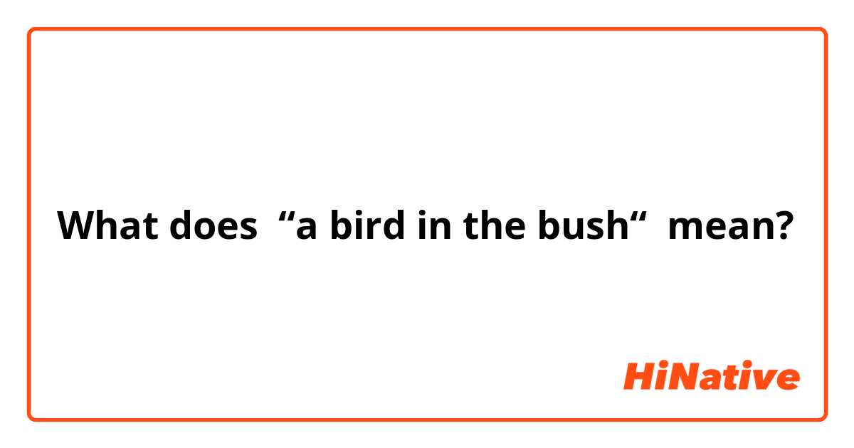 What does “a bird in the bush“ mean?