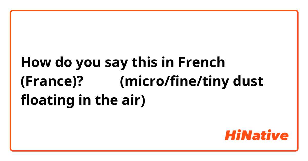 How do you say this in French (France)? 미세먼지(micro/fine/tiny dust floating in the air)