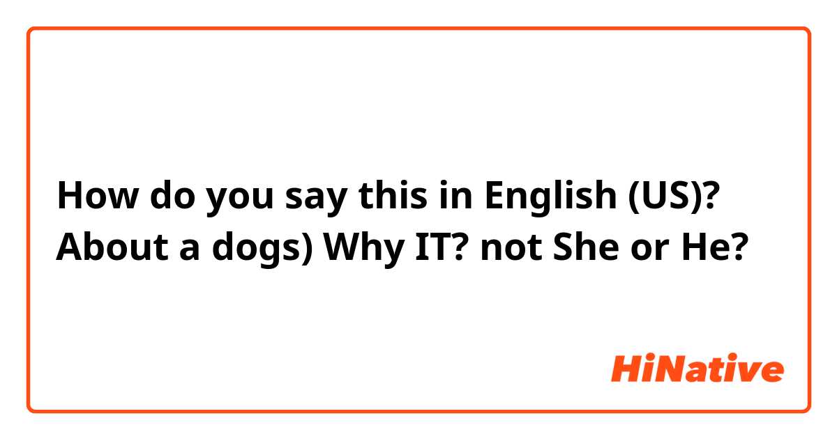 How do you say this in English (US)? About a dogs) 
Why IT? not She or He?