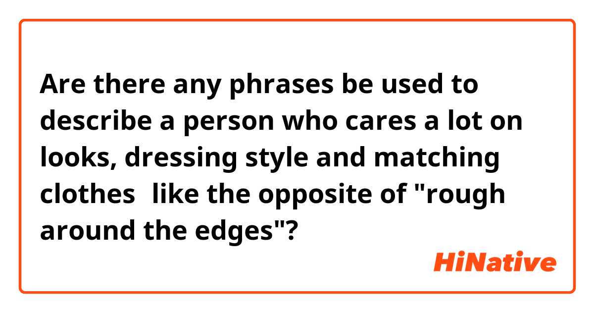 Are there any phrases be used to describe a person who cares a lot on looks, dressing style and matching clothes？like the opposite of "rough around the edges"?