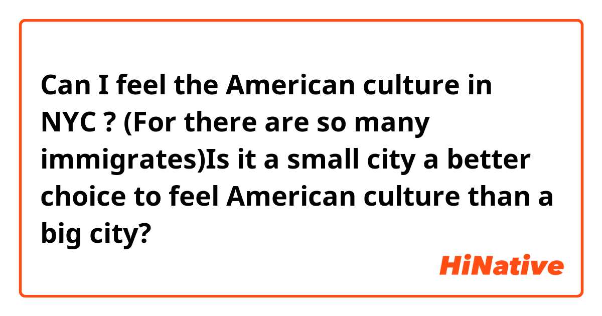 Can I feel the American culture in NYC ? (For there are so many immigrates)Is it a small city a better choice to feel American culture than a big city?