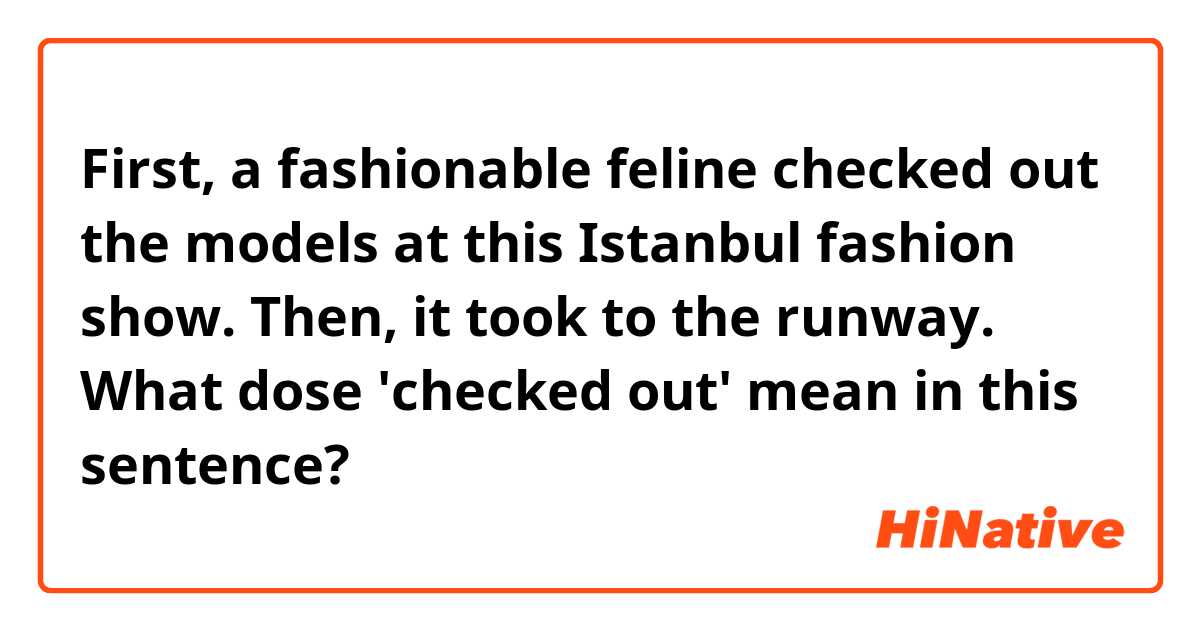 First, a fashionable feline checked out the models at this Istanbul fashion show. Then, it took to the runway.

What dose 'checked out' mean in this sentence?