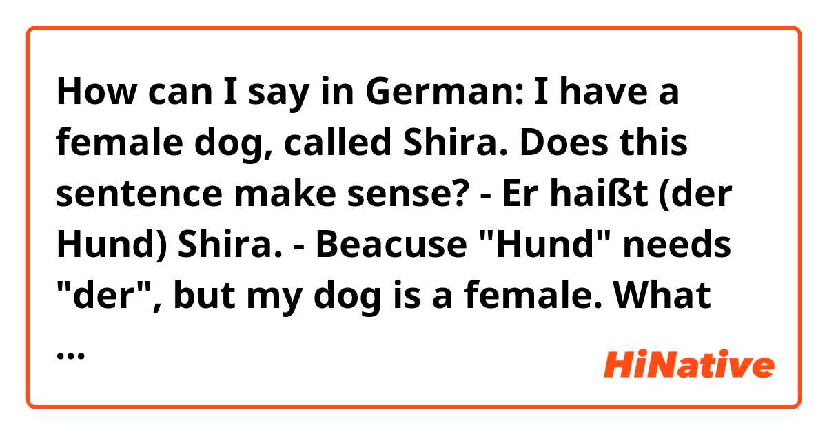 How can I say in German: I have a female dog, called Shira. Does this sentence make sense? - Er haißt (der Hund) Shira. - Beacuse 
