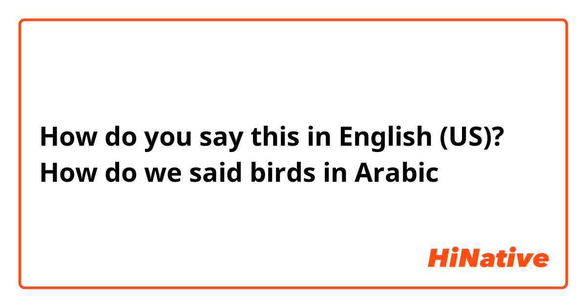 How do you say this in English (US)? How do we said birds in Arabic 