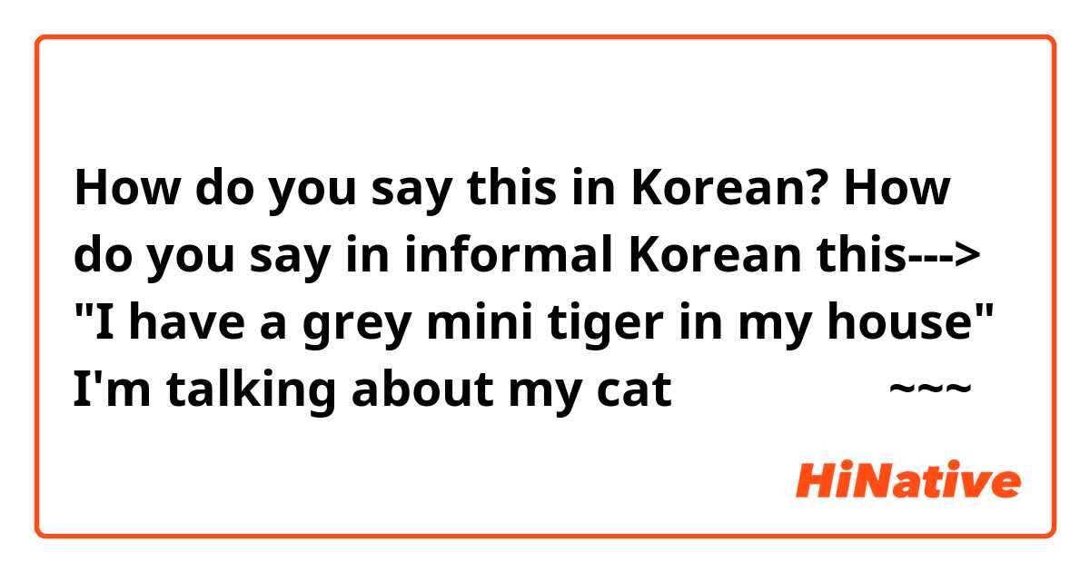 How do you say this in Korean? How do you say in informal Korean this---> "I have a grey mini tiger in my house" I'm talking about my cat 😆🐾🐾

고마워요오오오~~~
