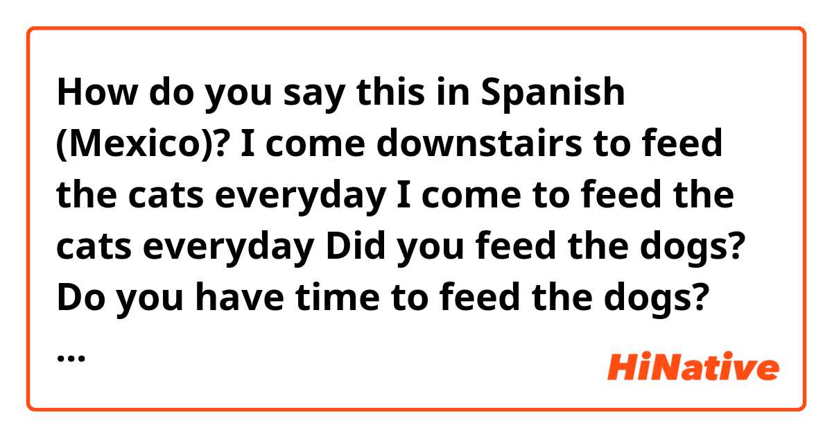 How do you say this in Spanish (Mexico)? I come downstairs to feed the cats everyday
I come to feed the cats everyday
Did you feed the dogs?
Do you have time to feed the dogs?
Did you have time to feed the dogs? 