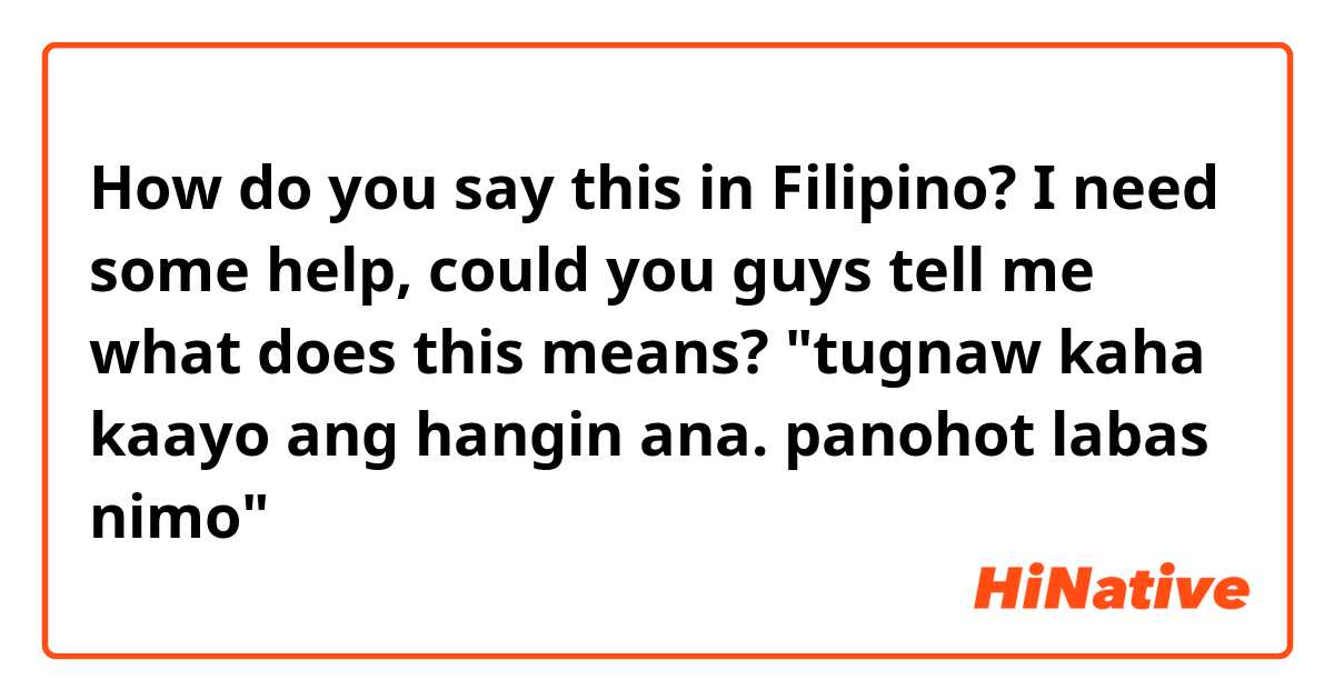 How do you say this in Filipino? I need some help, could you guys tell me what does this means?

"tugnaw kaha kaayo ang hangin ana. panohot labas nimo"