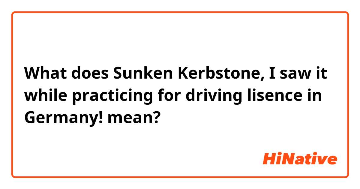 What does Sunken Kerbstone,
I saw it while practicing for driving lisence in Germany!  mean?