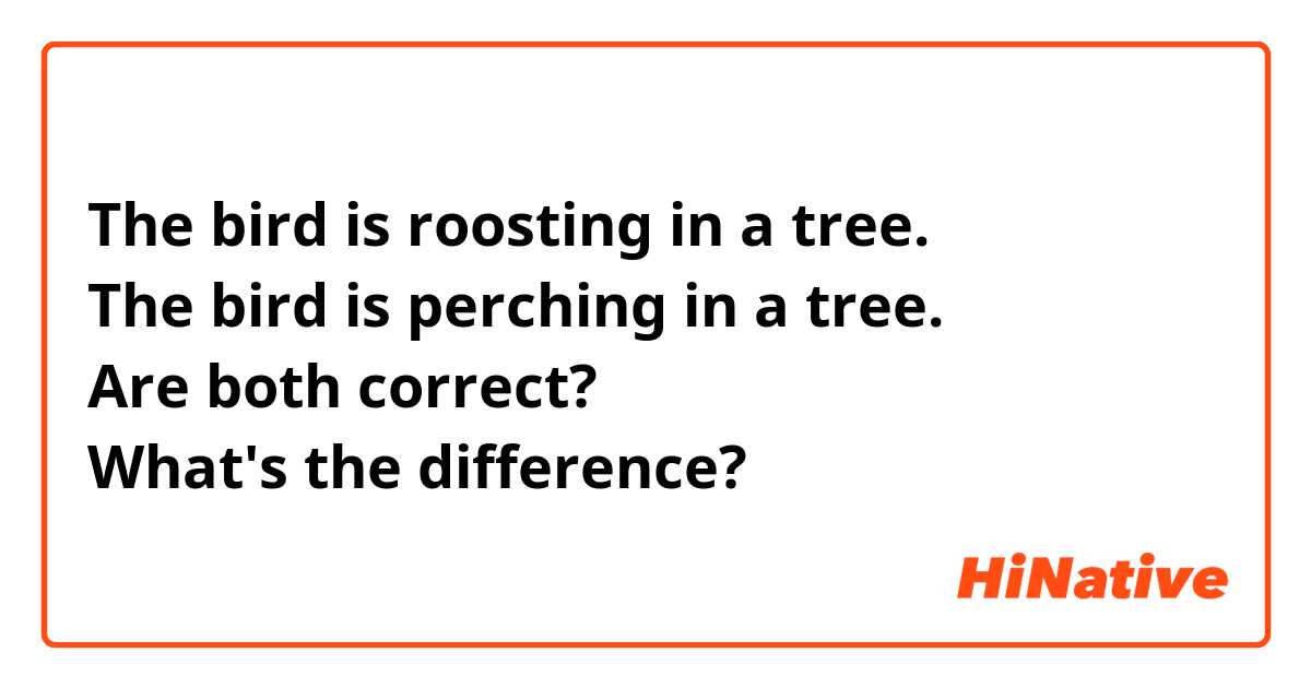 The bird is roosting in a tree.
The bird is perching in a tree.
Are both correct?
What's the difference?