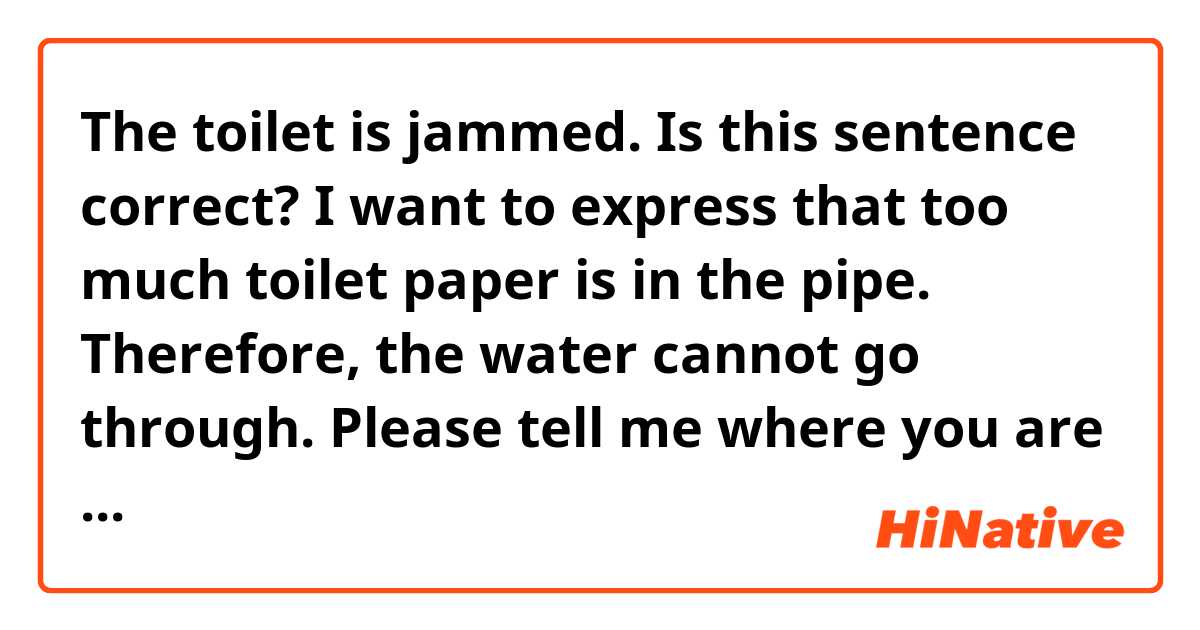 The toilet is jammed.

Is this sentence correct?

I want to express that too much toilet paper is in the pipe. Therefore, the water cannot go through.

Please tell me where you are from at the end of your answer. For example, New Jersey the USA.