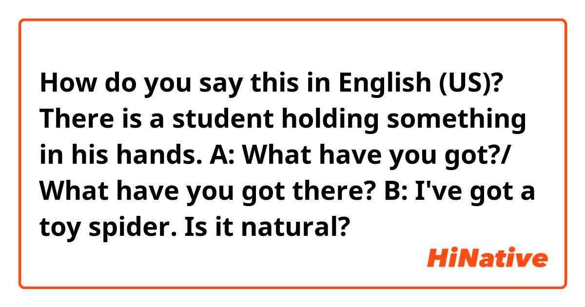 How do you say this in English (US)? There is a student holding something in his hands. 

A: What have you got?/ What have you got there? 

B: I've got a toy spider. 

Is it natural? 