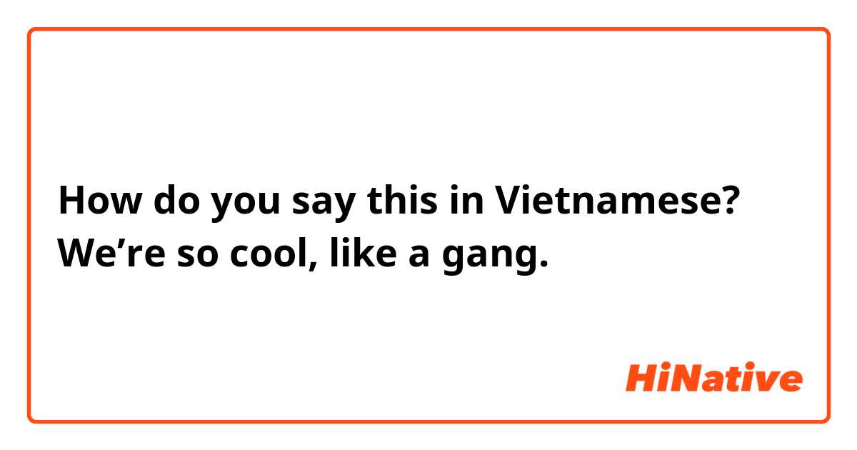 How do you say this in Vietnamese? We’re so cool, like a gang. 
