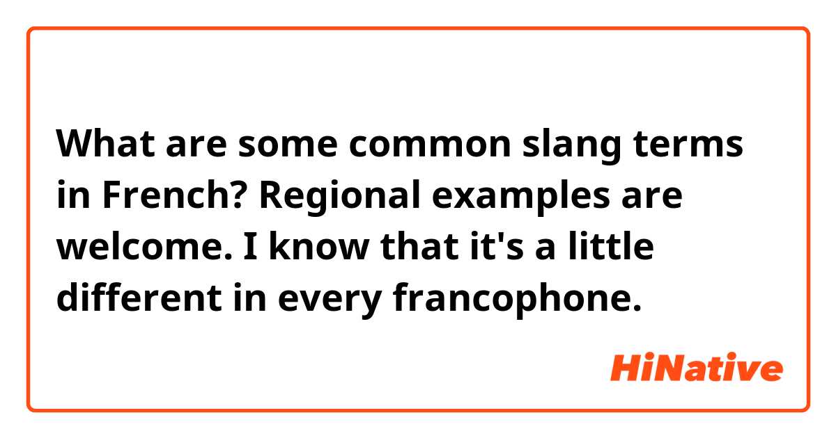 What are some common slang terms in French? Regional examples are welcome. I know that it's a little different in every francophone.
