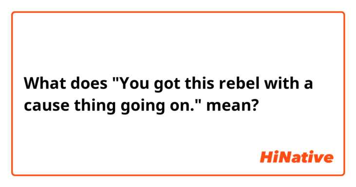 What does "You got this rebel with a cause thing going on." mean?
