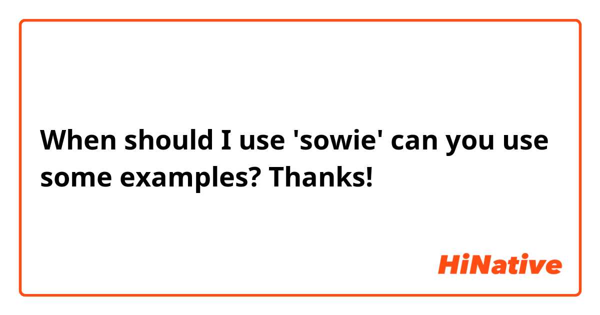 When should I use 'sowie' can you use some examples? Thanks!