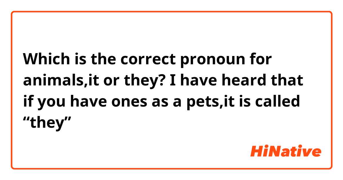Which is the correct pronoun for animals,it or they? I have heard that if  you have ones as a pets,it is called “they” | HiNative