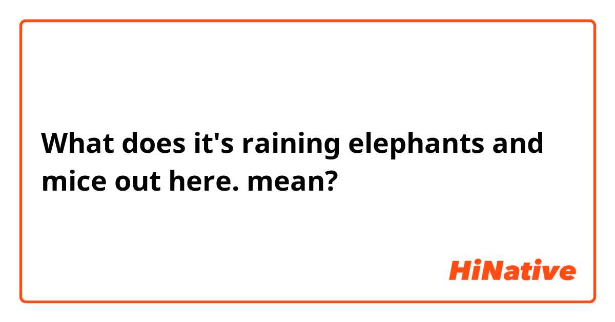 What does it's raining elephants and mice out here.  mean?