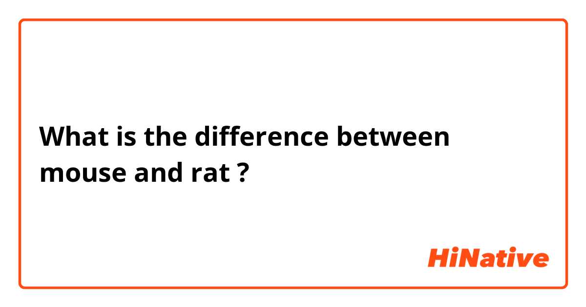 What is the difference between mouse and rat ?