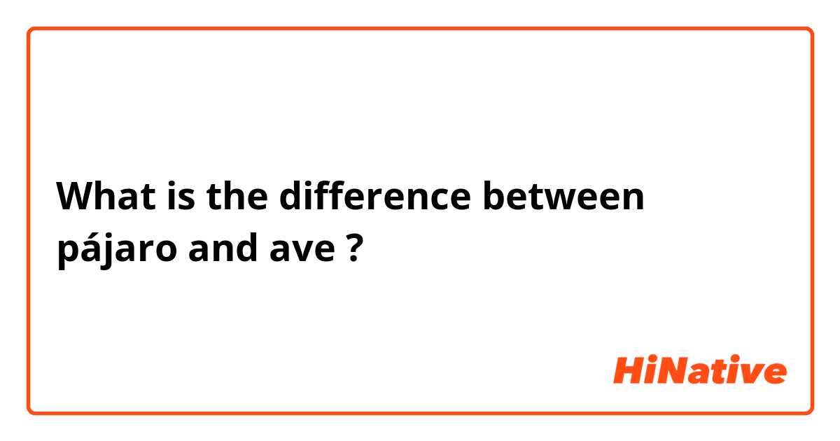 What is the difference between pájaro  and ave ?