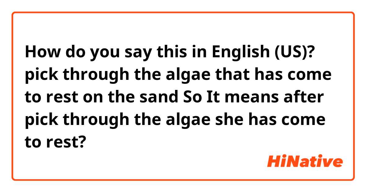 How do you say this in English (US)? pick through the algae that has come to rest on the sand

So It means after pick through the algae she has come to rest?