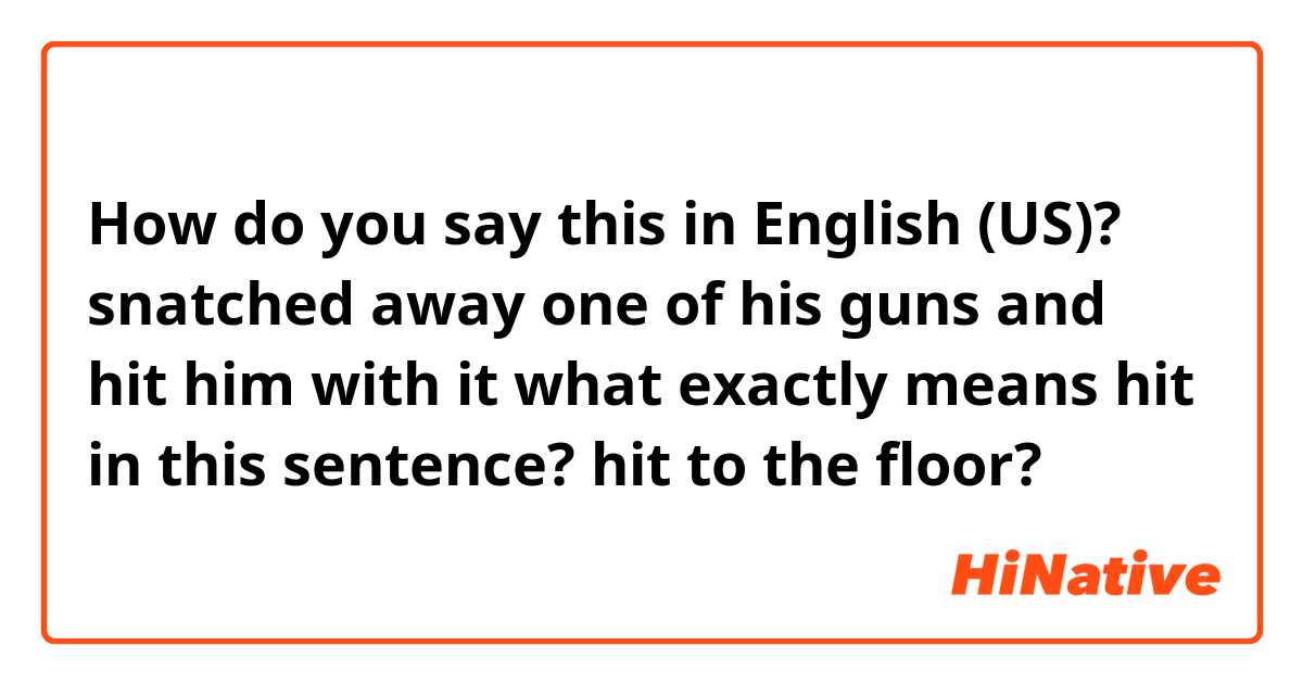 How do you say this in English (US)? snatched away one of his guns and hit him with it

what exactly means hit in this sentence? hit to the floor?