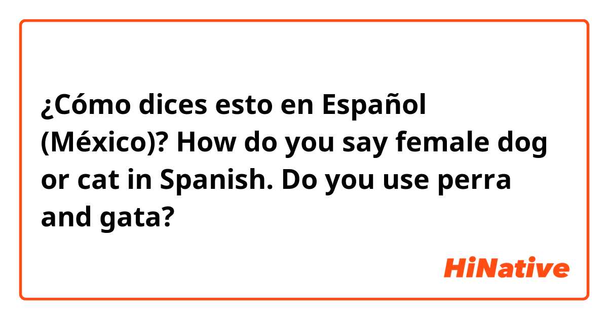 ¿Cómo dices esto en Español (México)? How do you say female dog or cat in Spanish. Do you use perra and gata?