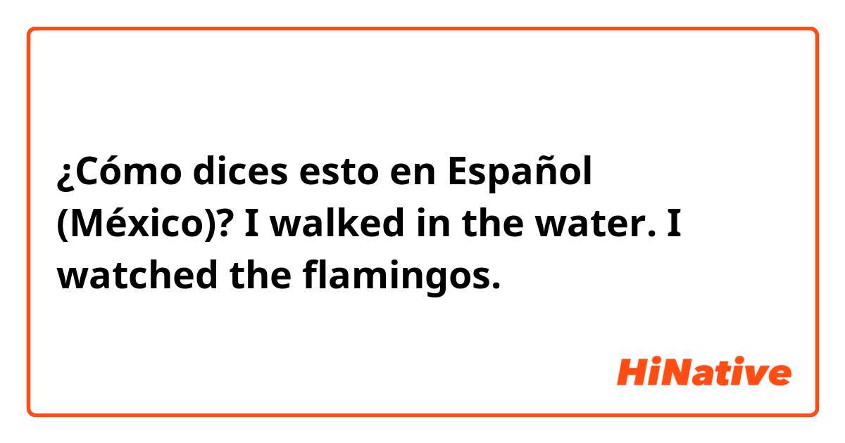 ¿Cómo dices esto en Español (México)? I walked in the water. I watched the flamingos. 