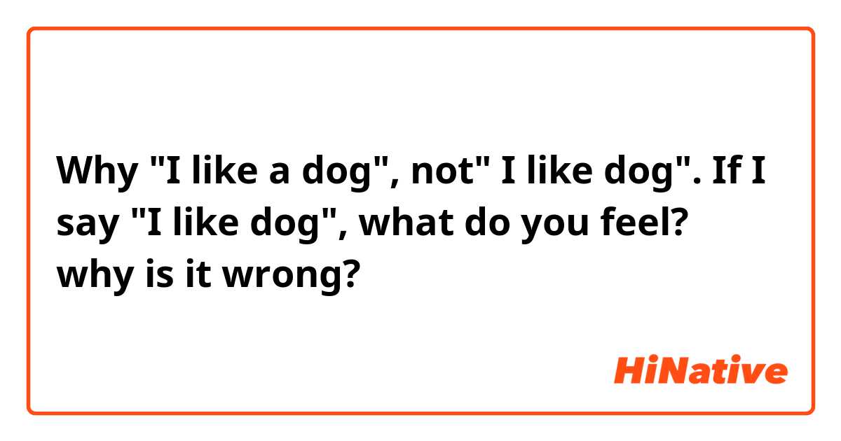 Why "I like a dog", not" I like dog". If I say "I like dog", what do you feel? why is it wrong? 
