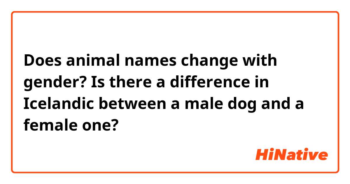 Does animal names change with gender? Is there a difference in Icelandic  between a male dog and a female one? | HiNative