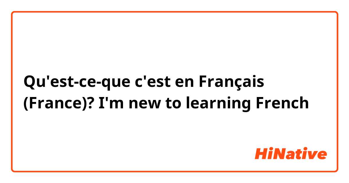 Qu'est-ce-que c'est en Français (France)? I'm new to learning French