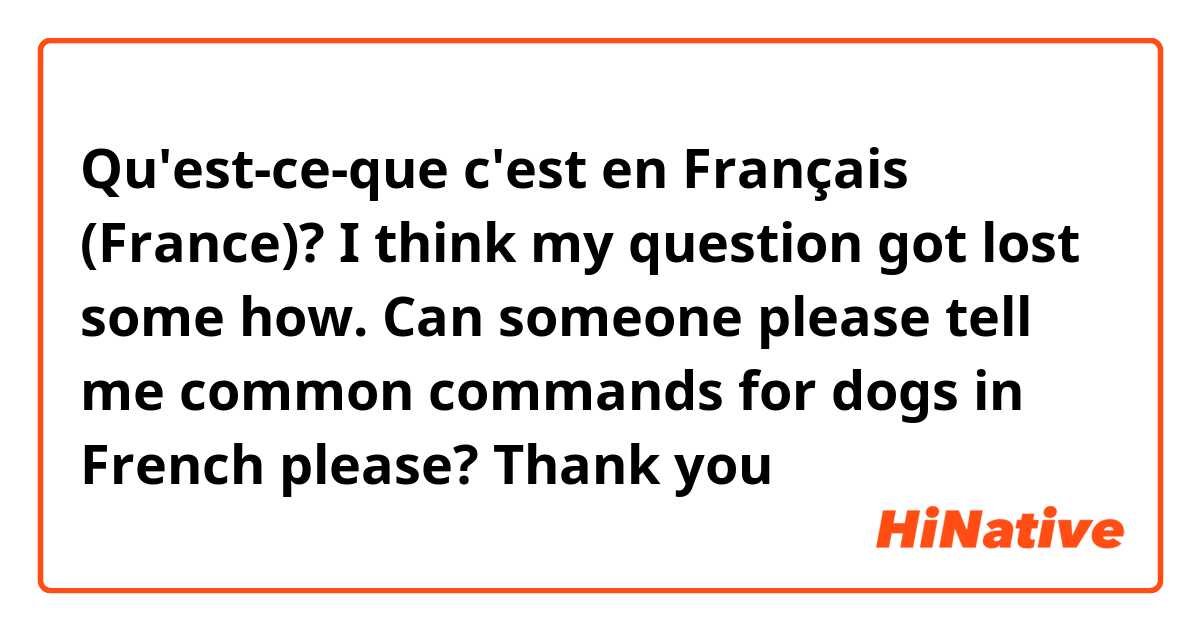 Qu'est-ce-que c'est en Français (France)? I think my question got lost some how. Can someone please tell me common commands for dogs in French please? Thank you