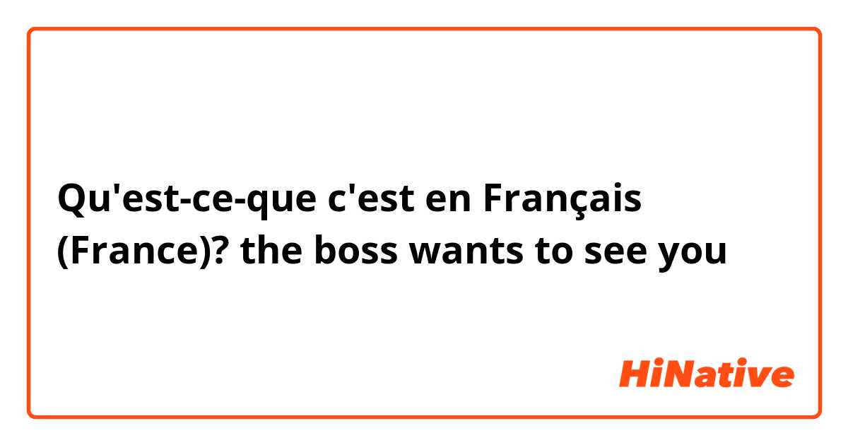 Qu'est-ce-que c'est en Français (France)? the boss wants to see you 