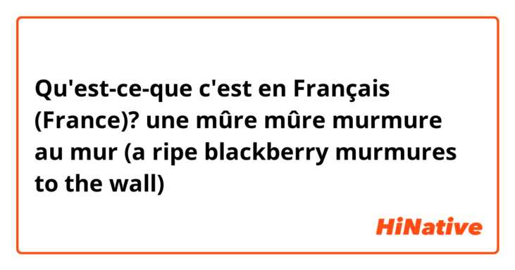 Qu'est-ce-que c'est en Français (France)? une mûre mûre murmure au mur
(a ripe blackberry murmures to the wall)