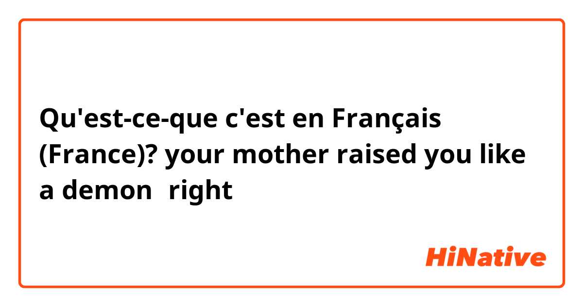 Qu'est-ce-que c'est en Français (France)? your mother raised you like a demon，right？