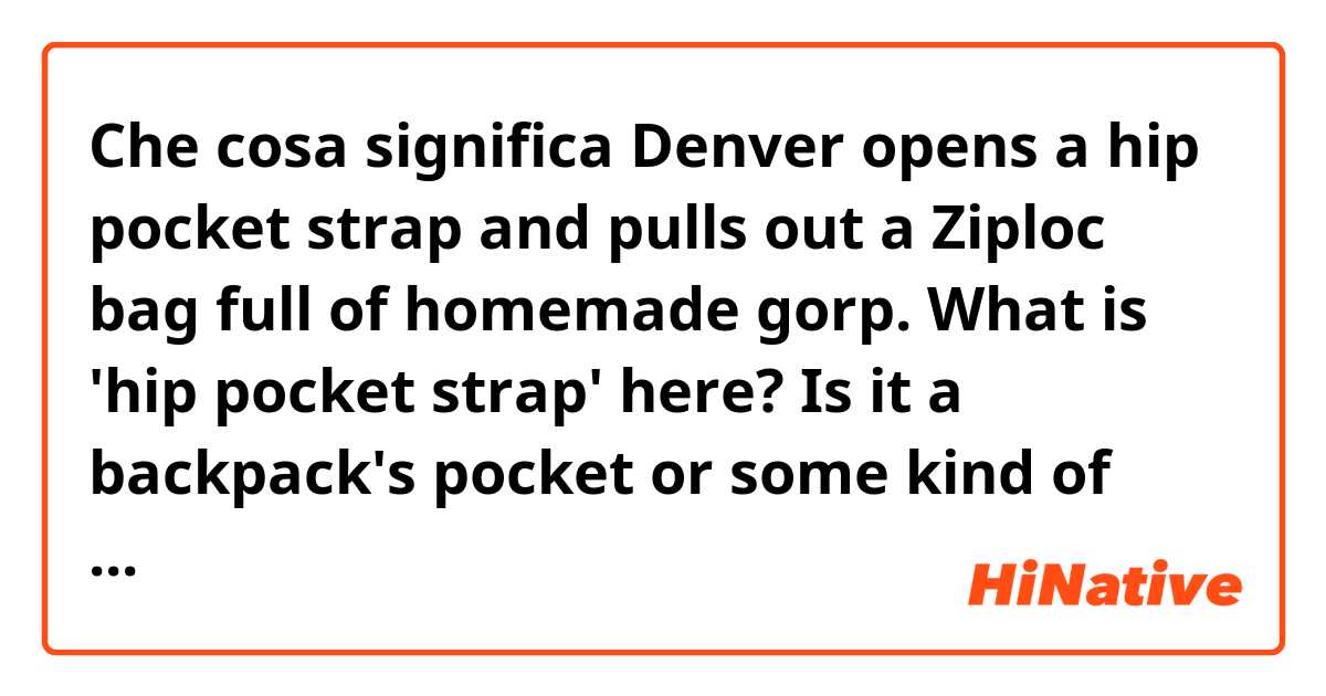 Che cosa significa Denver opens a hip pocket strap and pulls out a Ziploc bag full of homemade gorp.

What is 'hip pocket strap' here? Is it a backpack's pocket or some kind of hipsack??