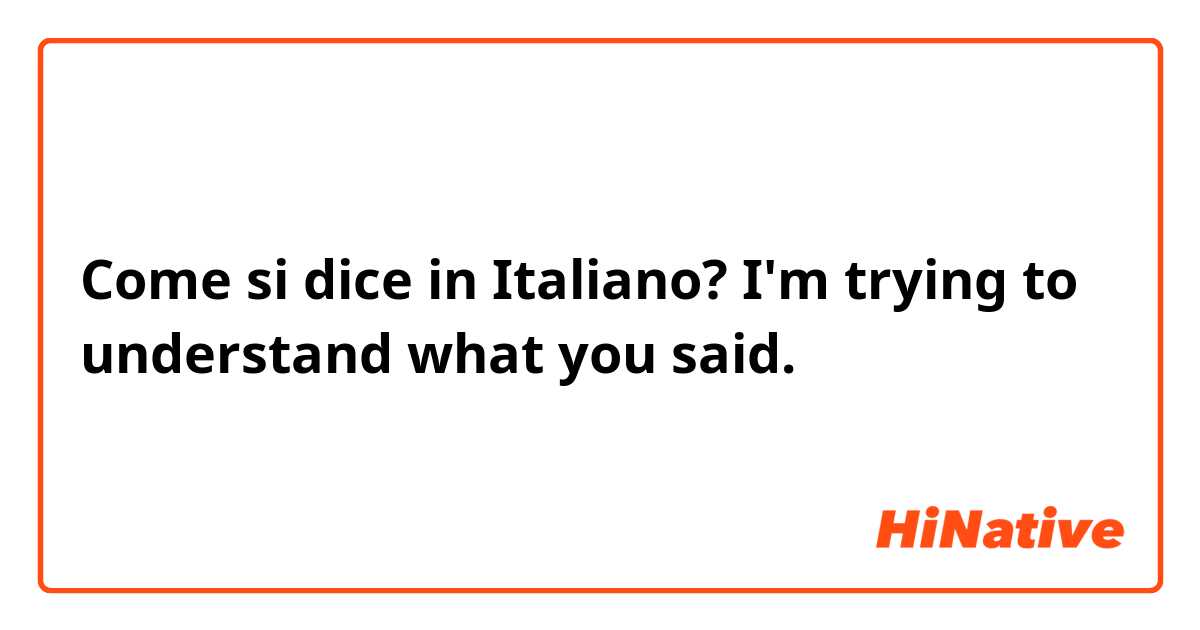 Come si dice in Italiano? I'm trying to understand what you said. 