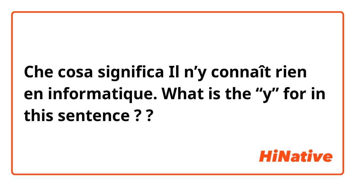 Che cosa significa Il n’y connaît rien en informatique.  What is the “y” for in this sentence ??