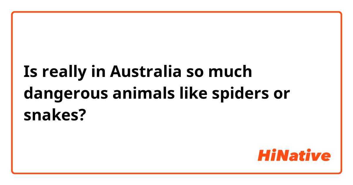 Is really in Australia so much dangerous animals like spiders or snakes?